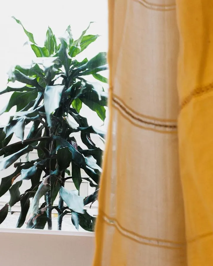 Casa Madi Apartment Palermo